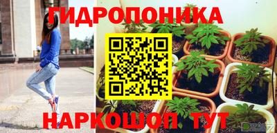 бошки Сланцы