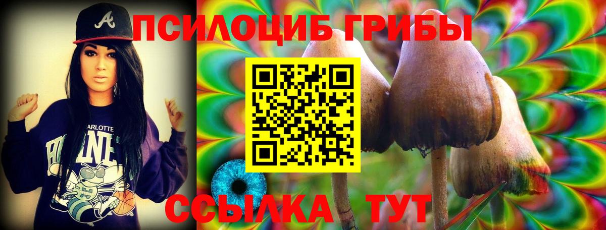 Псилоцибиновые грибы Magic Shrooms Бахчисарай