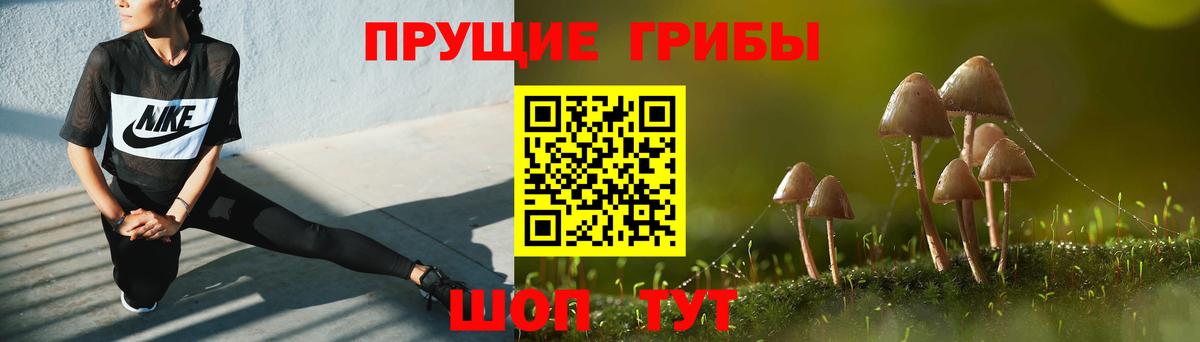 Галлюциногенные грибы GOLDEN TEACHER  Вход с VPN  Бахчисарай  где можно купить наркотик  Галлюциногенные грибы ЛСД 
